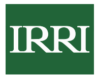 Partenaire 2