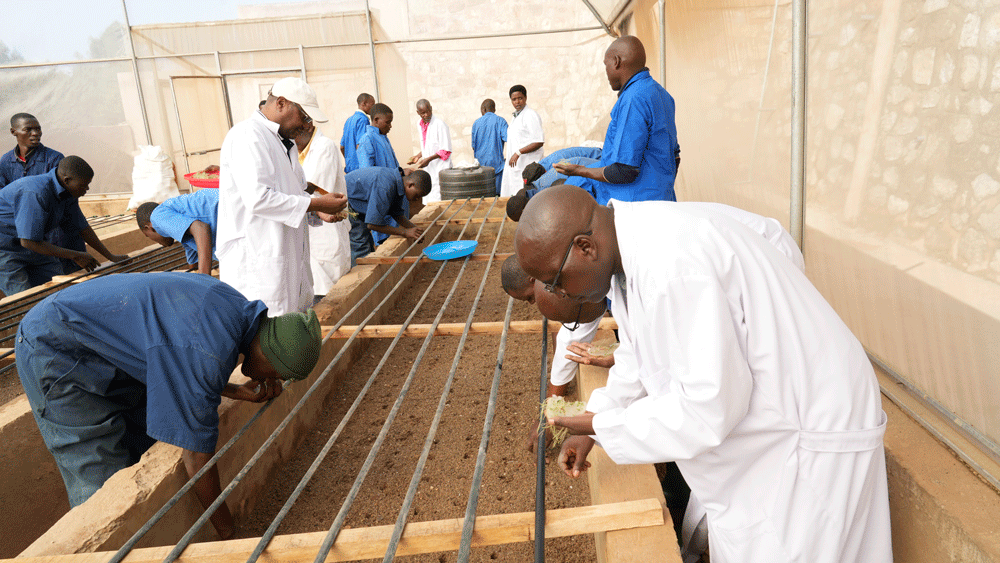 Formation aux techniques agricoles