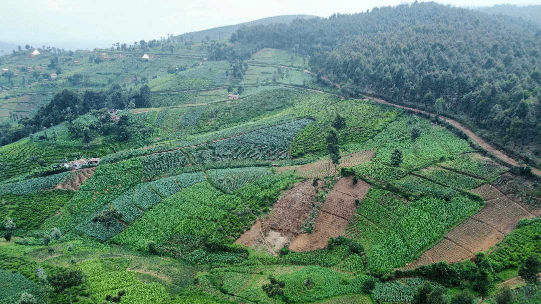 Champ cultivé durablement