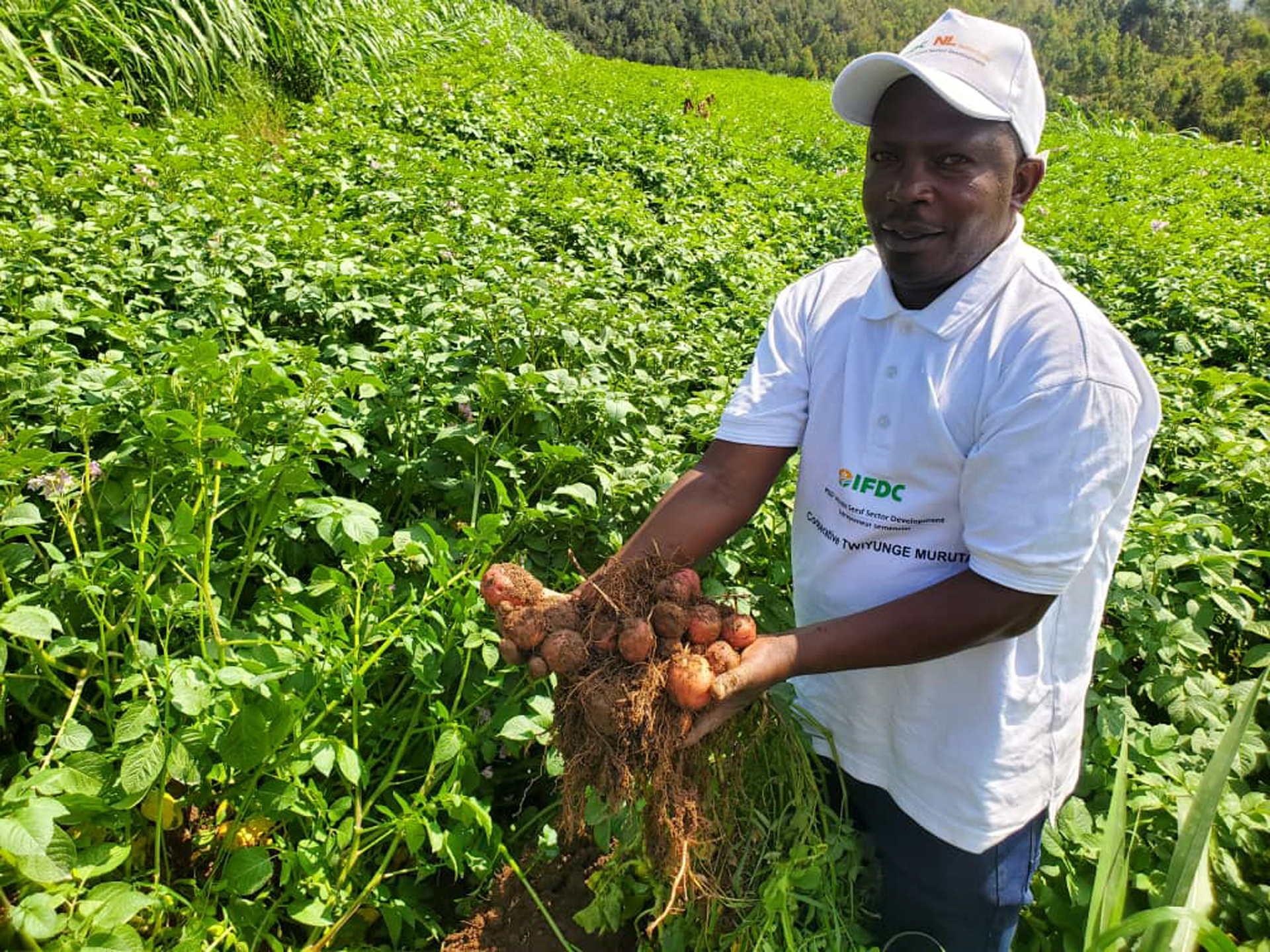 Réunion de travail avec une ONG agricole